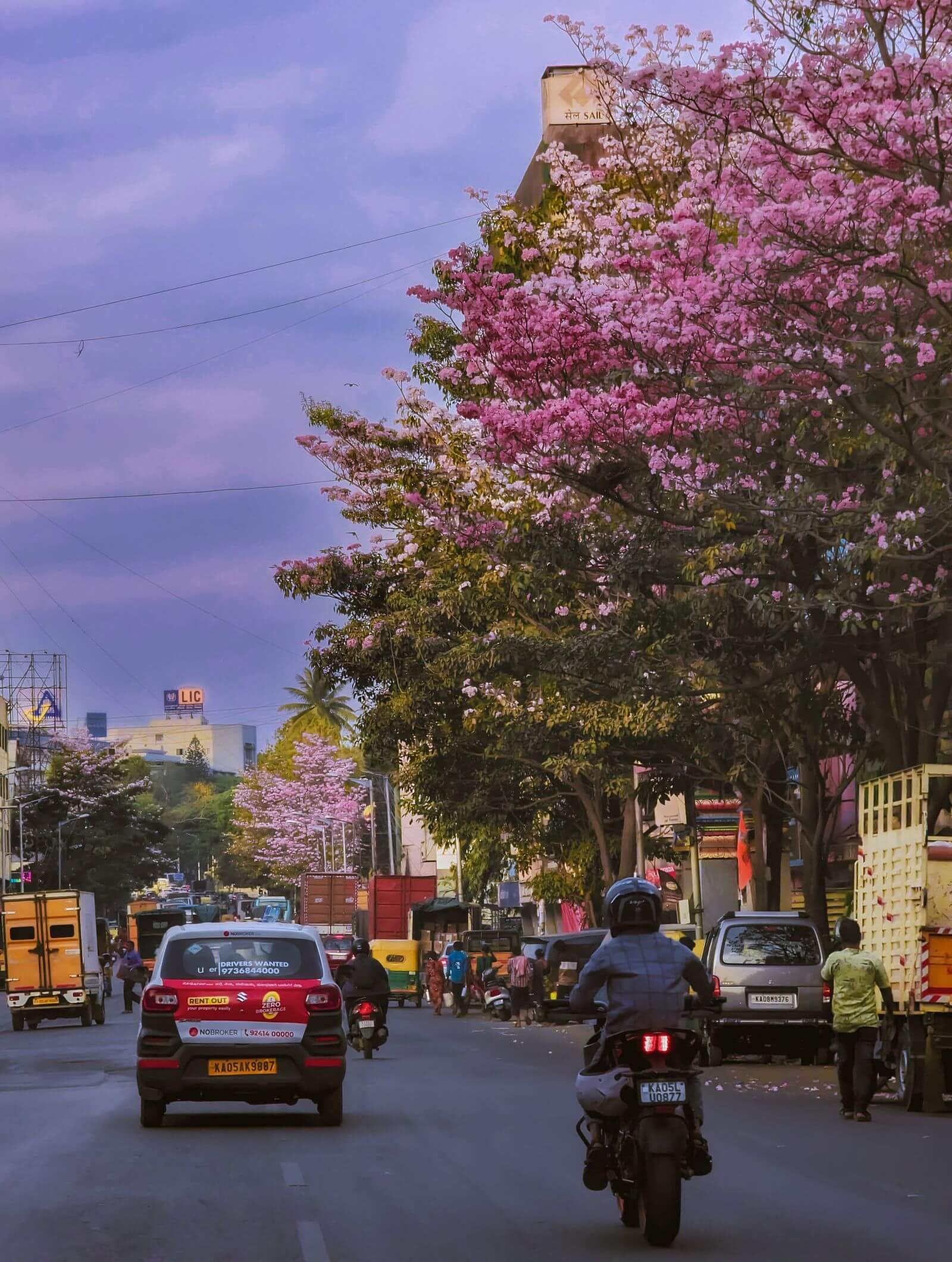 A lively tree-lined Bengaluru street